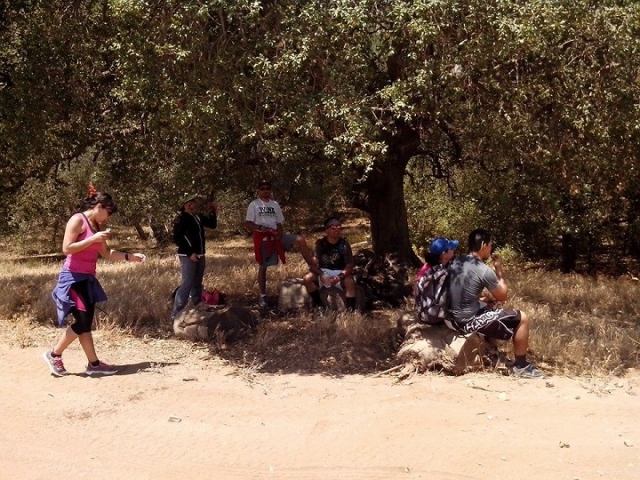 un descanso en el camino